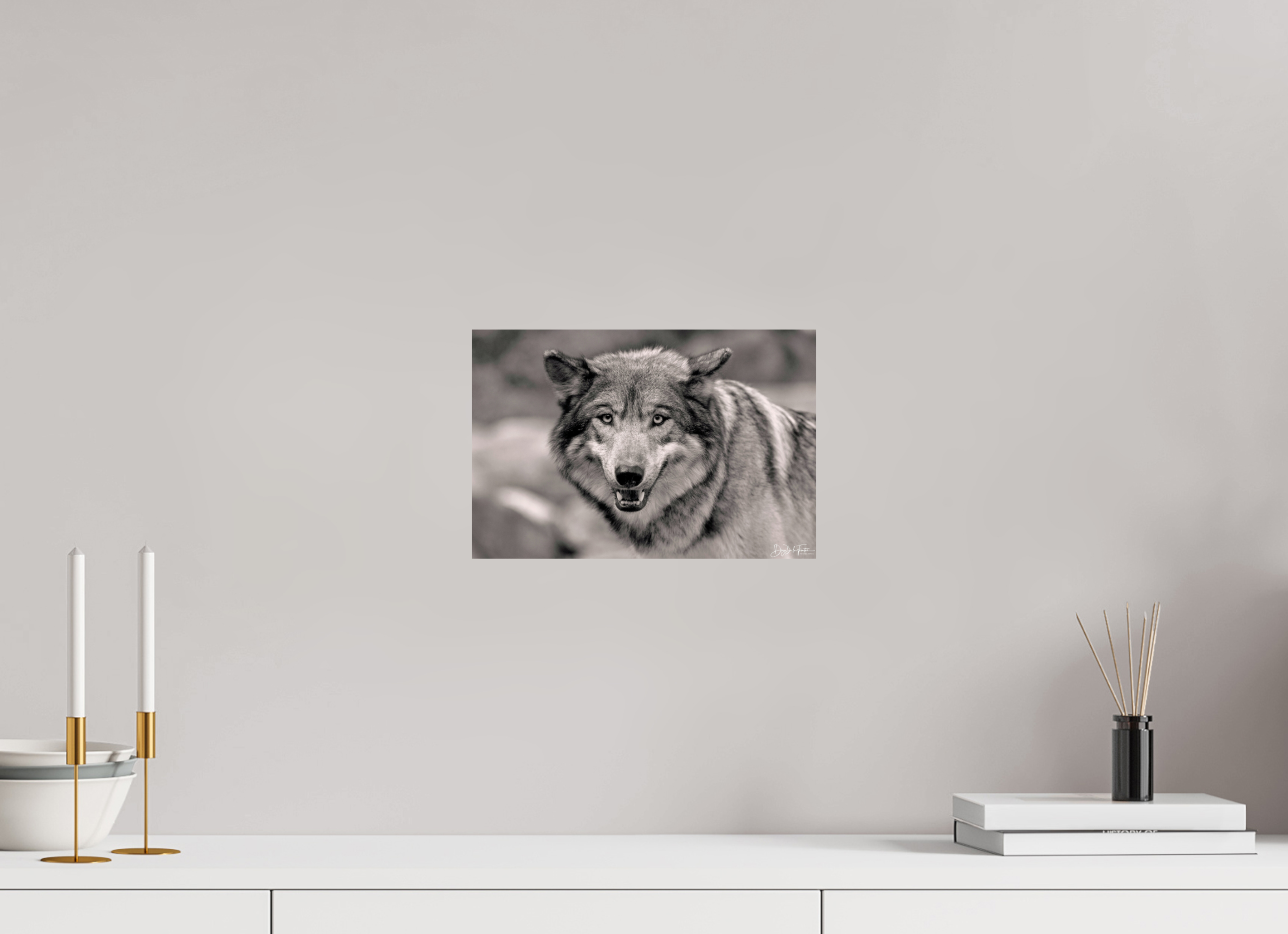 30 x 20 cm, Regard Sauvage Regard Sauvage