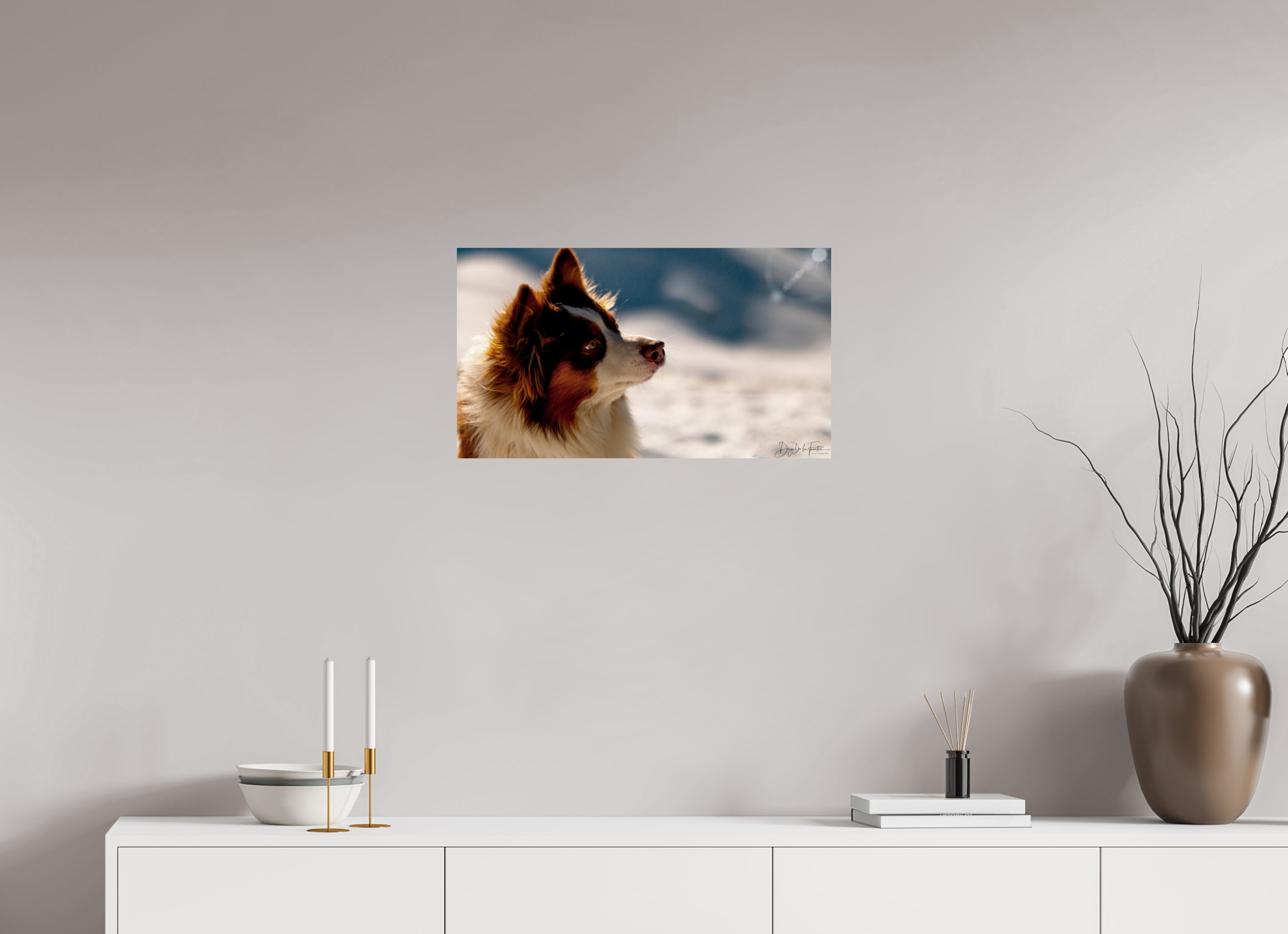 64 x 36 cm, Diego De la Fuintes Tableau Photographique Canin