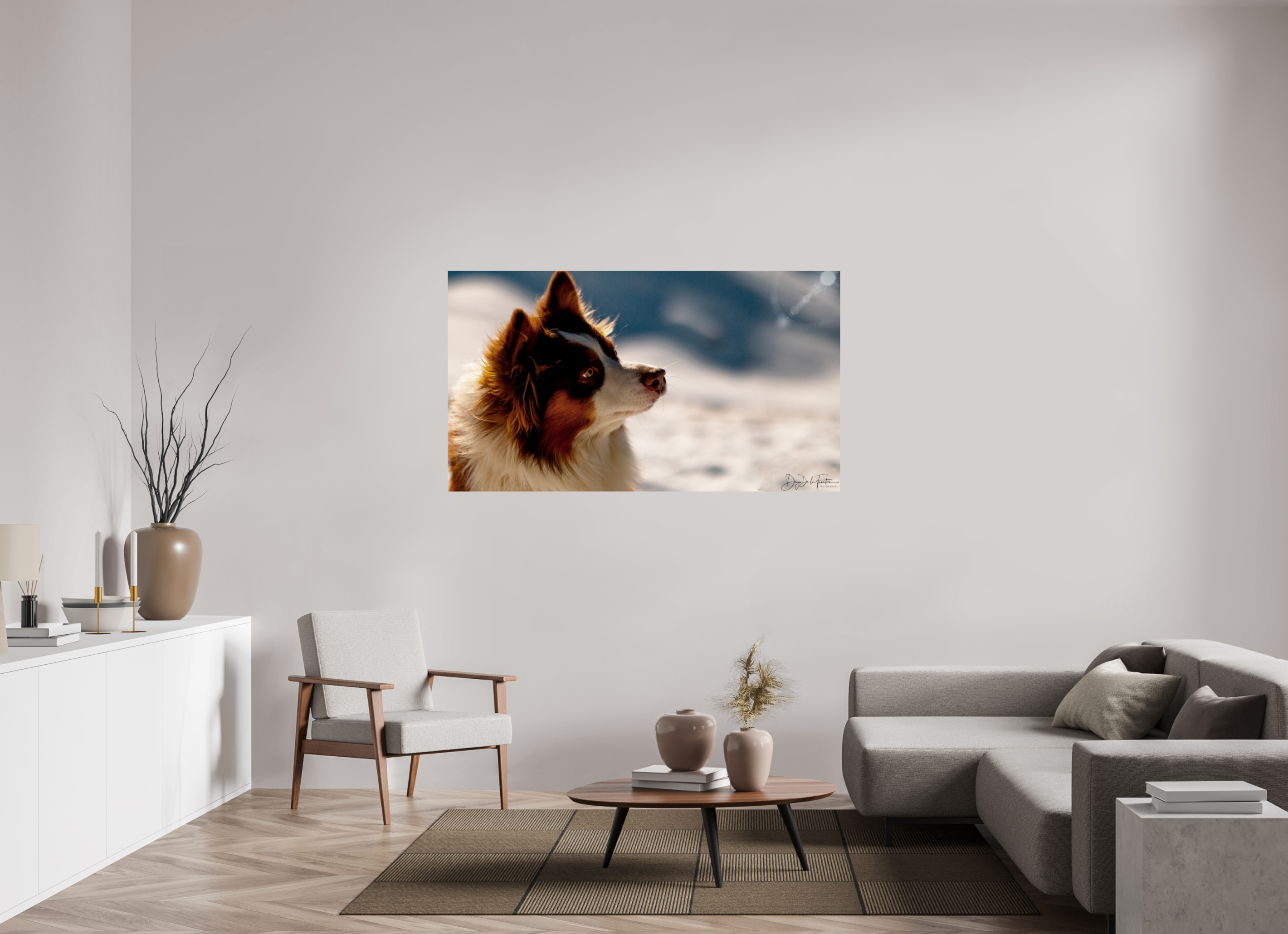 160 x 90 cm, Diego De la Fuintes Tableau Photographique Canin