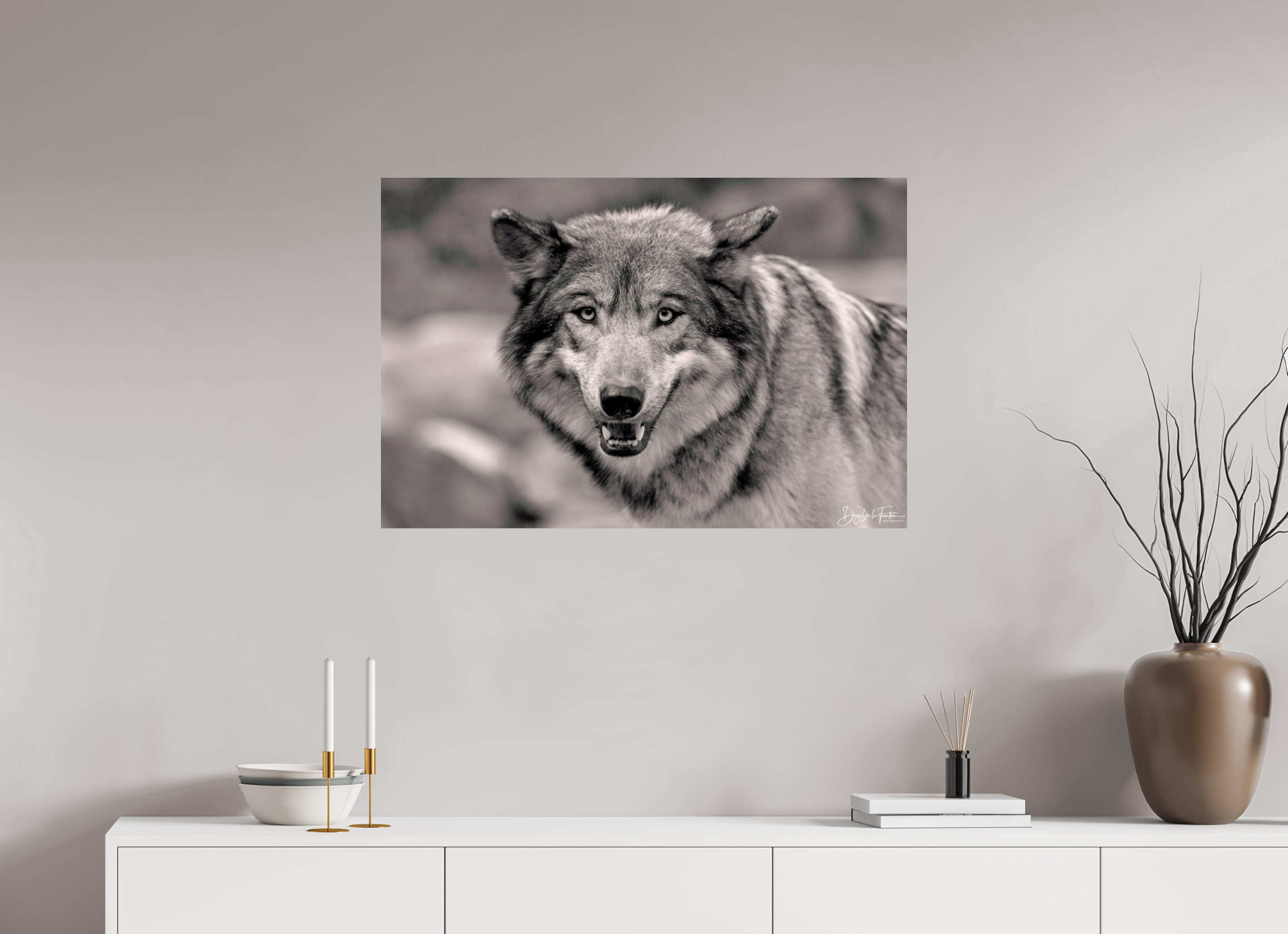 90 x 60 cm, Regard Sauvage Regard Sauvage