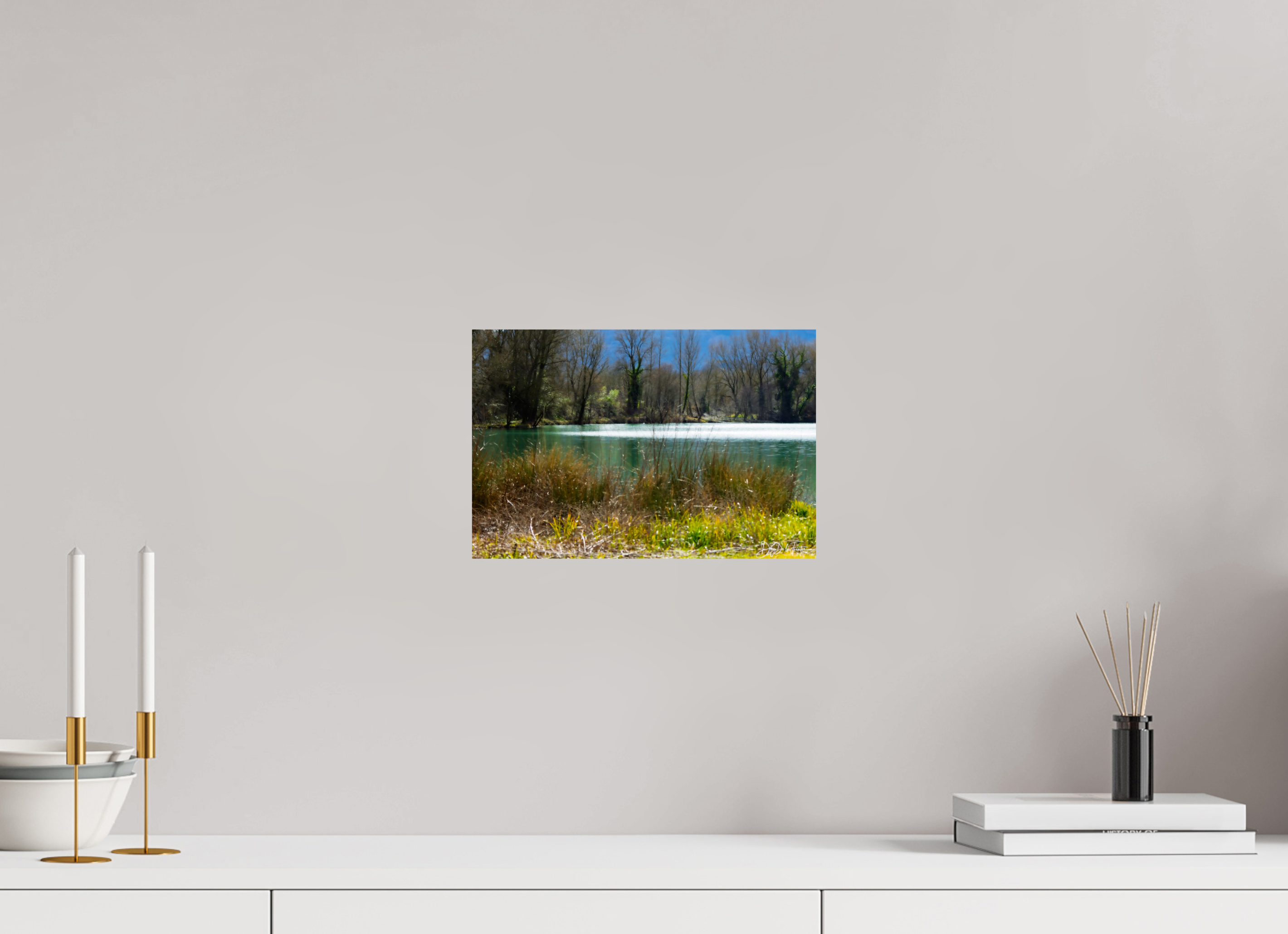 30 x 20 cm, Diego De la Fuintes Lac vert