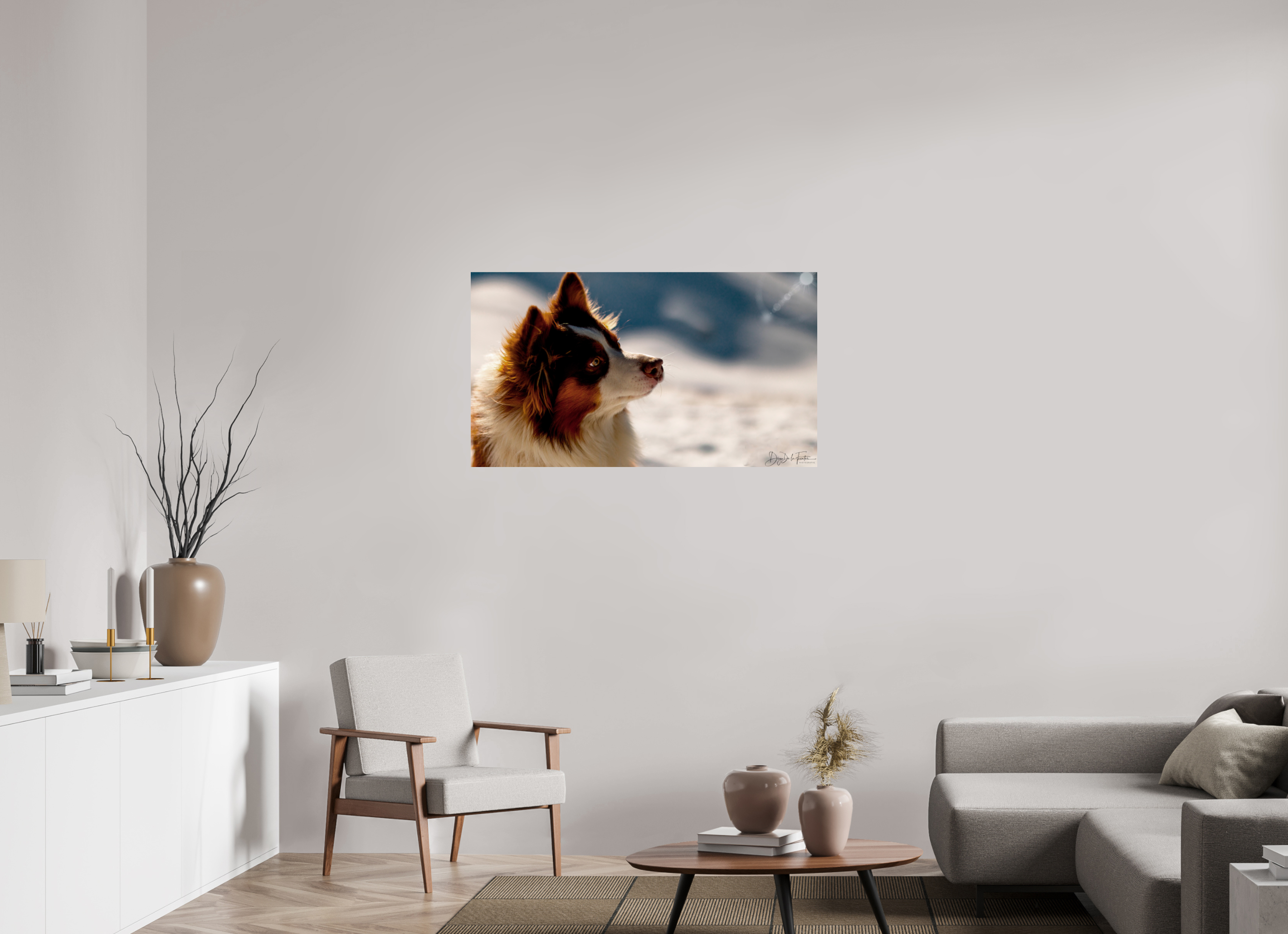 112 x 63 cm, Diego De la Fuintes Tableau Photographique Canin