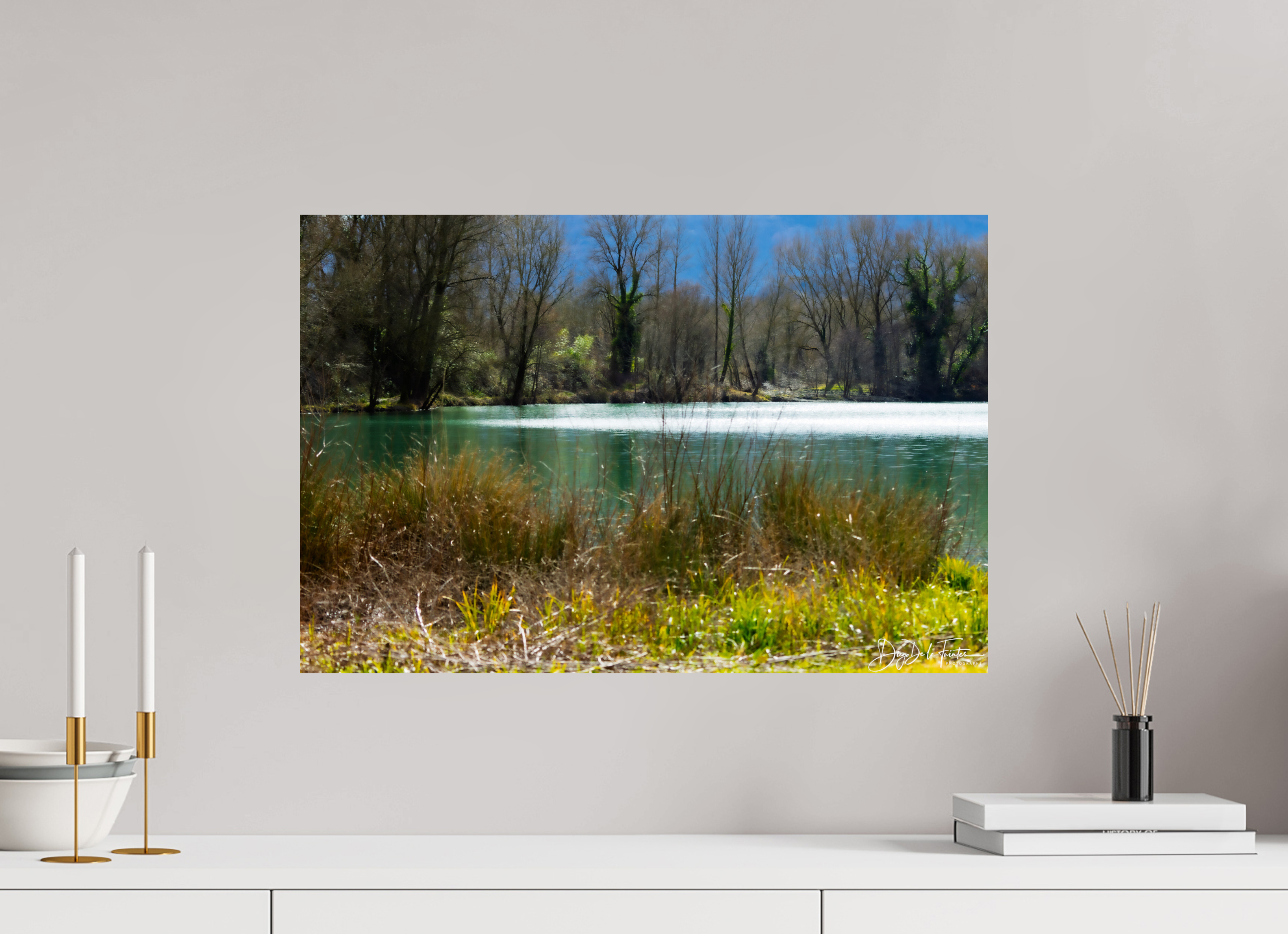 60 x 40 cm, Diego De la Fuintes Lac vert