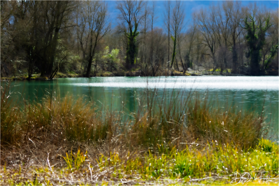 Main image Lac vert