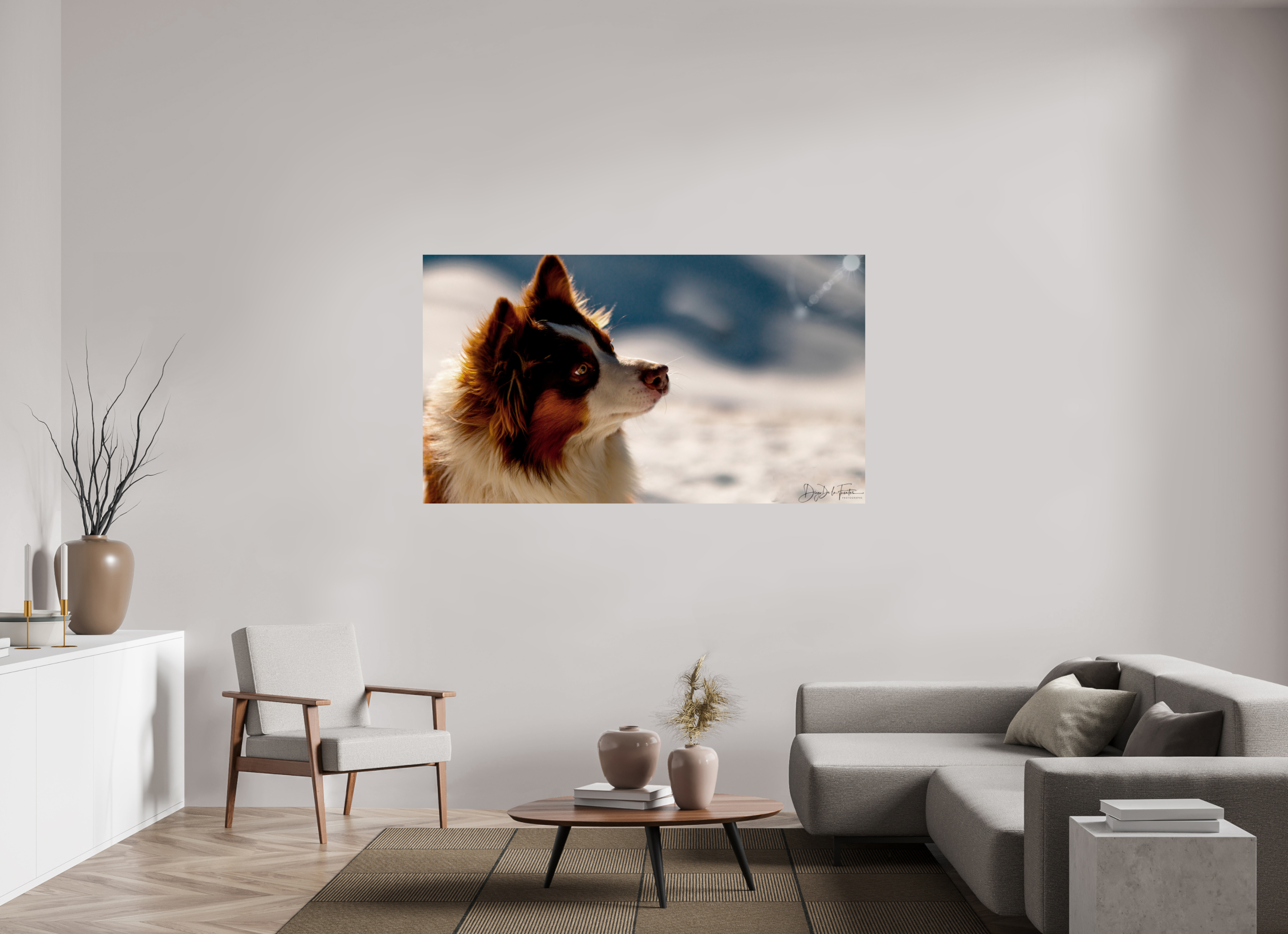 176 x 99 cm, Diego De la Fuintes Tableau Photographique Canin
