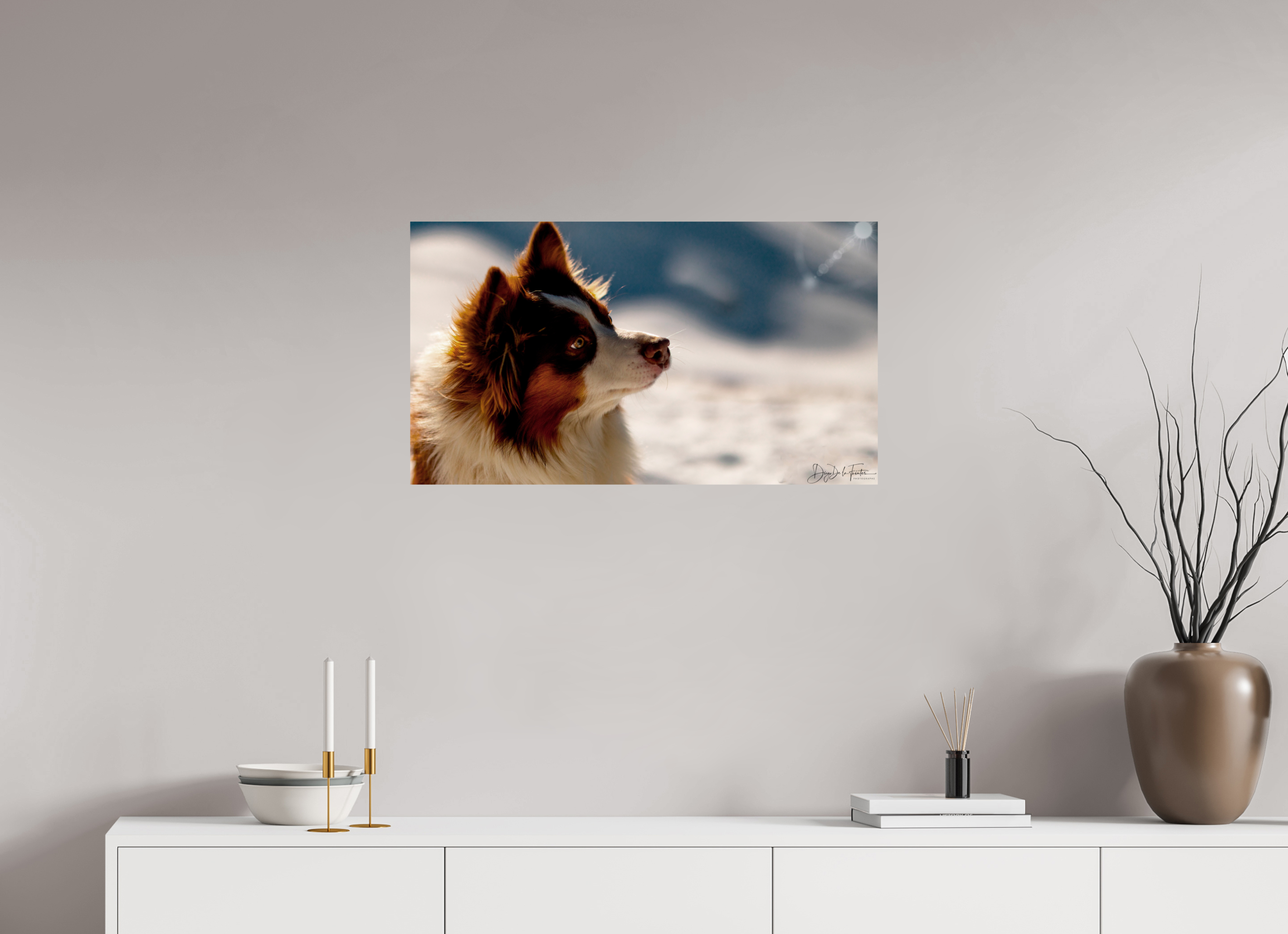 80 x 45 cm, Diego De la Fuintes Tableau Photographique Canin