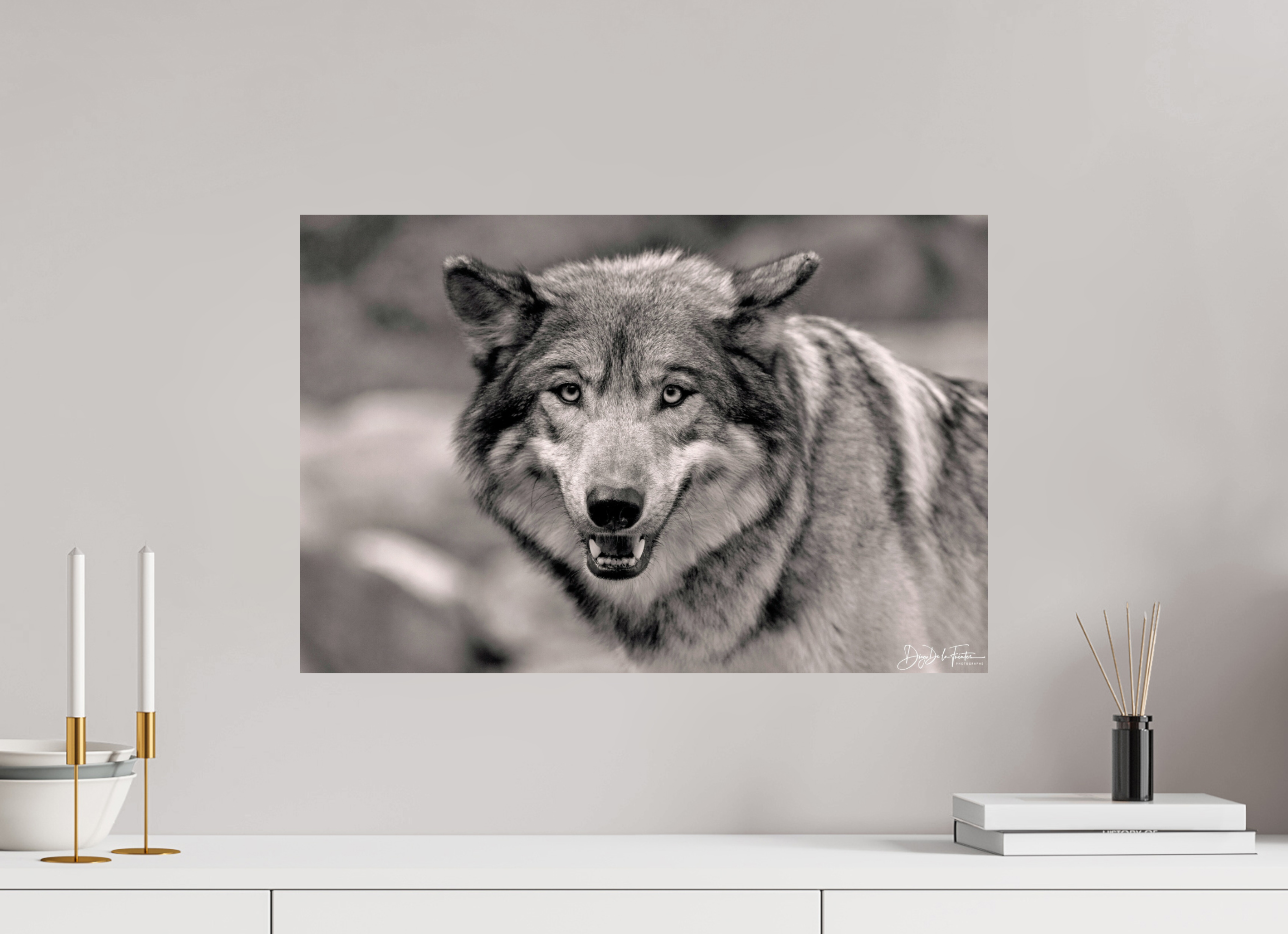 60 x 40 cm, Regard Sauvage Regard Sauvage