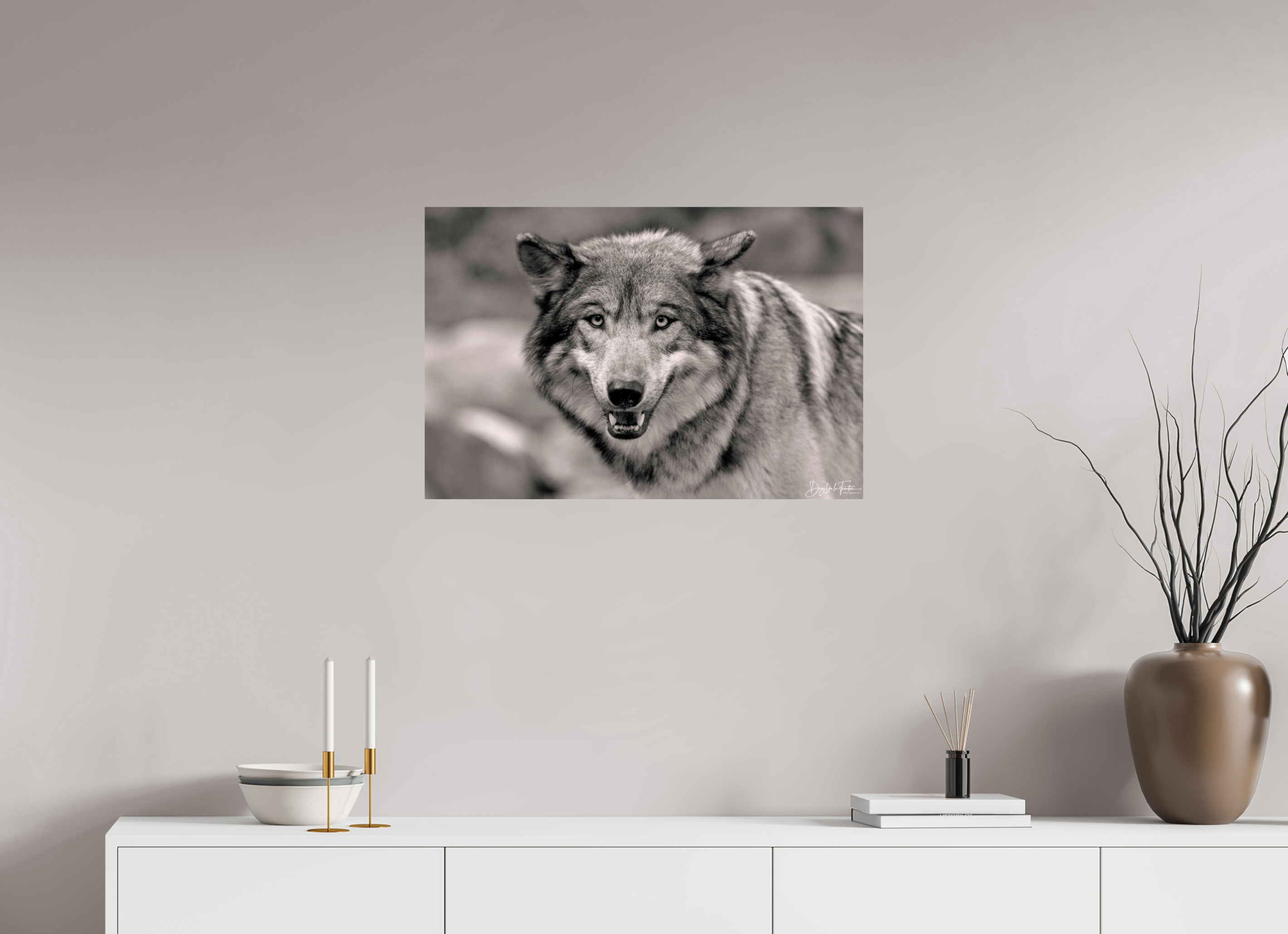 75 x 50 cm, Regard Sauvage Regard Sauvage