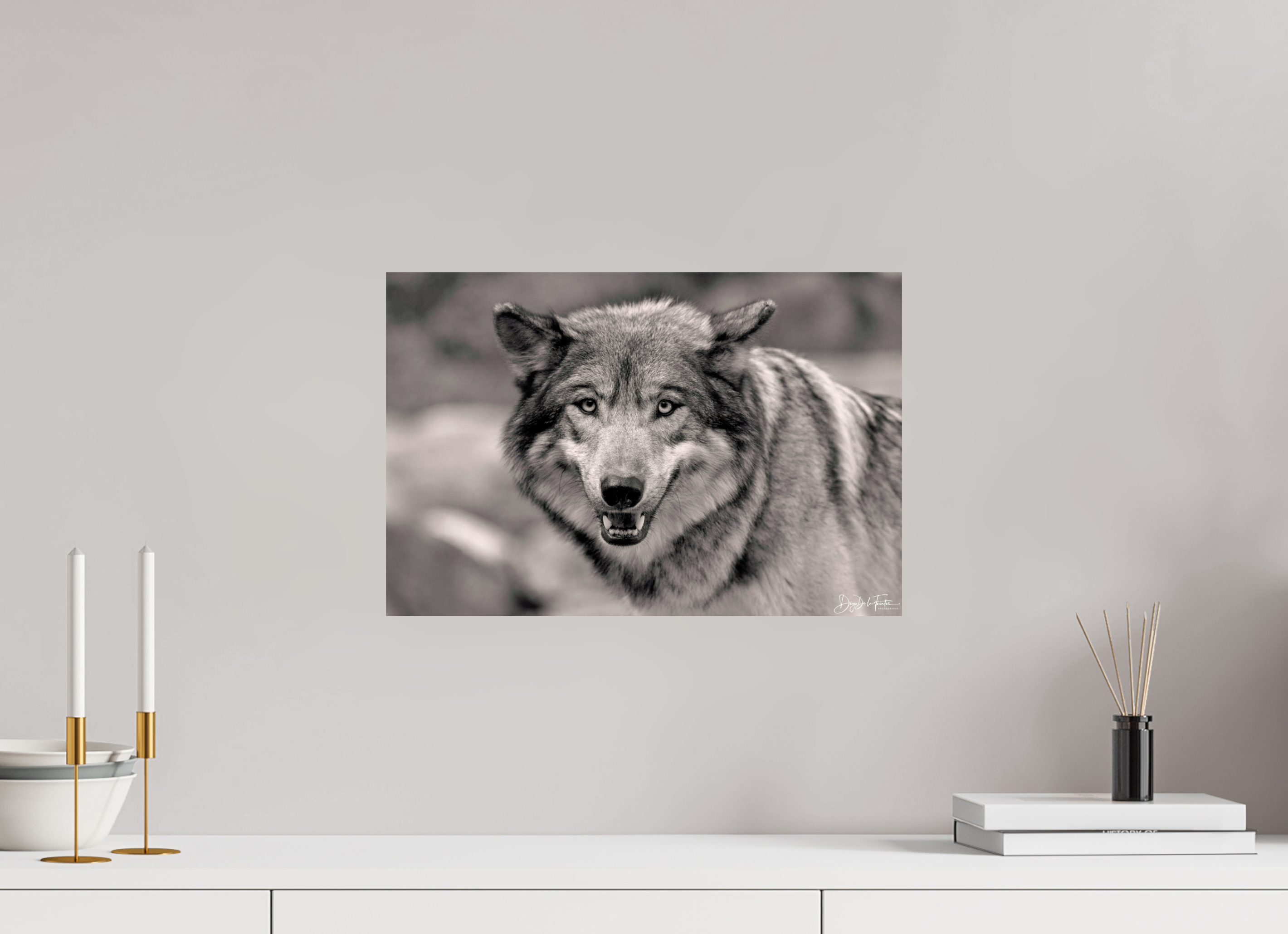 45 x 30 cm, Regard Sauvage Regard Sauvage
